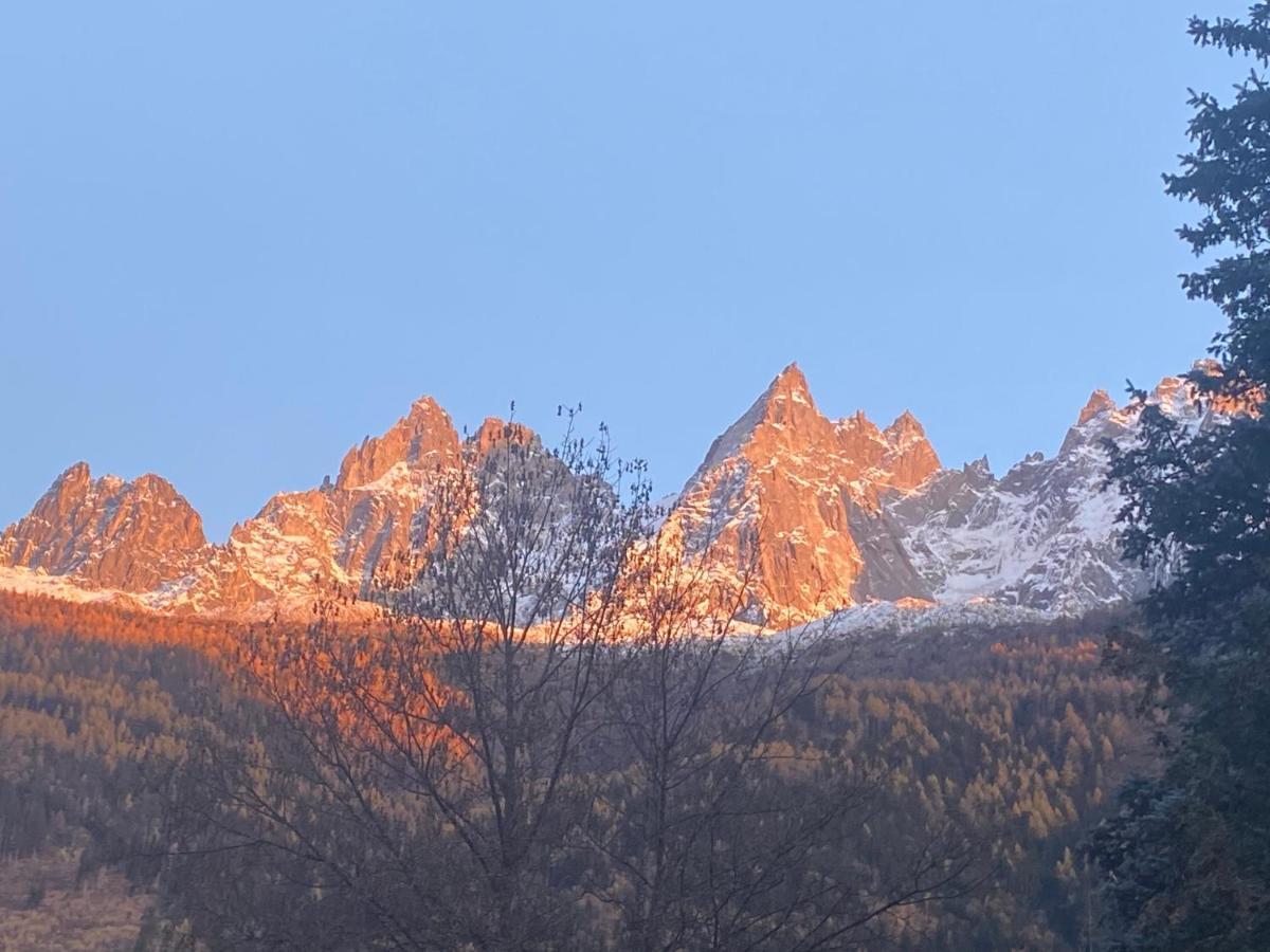 Chamonix - Majestic Vue Mont Blancアパートメント エクステリア 写真